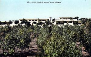 Ain-el-Turck - Colonie la mer et les pins 1